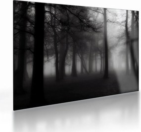 Tablou pe sticlă - Pădure în ceață (70x50 cm)