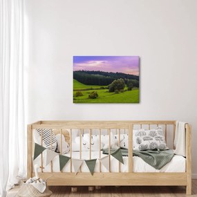 Tablou cu lunca (70x50 cm)