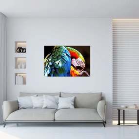 Tablou - Papagal (90x60 cm)