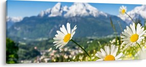 Tablou - Primăvara în Alpi (120x50 cm)