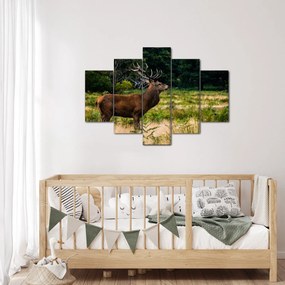 Tablou cu cerb (150x105 cm)