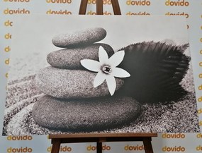 Tablou floare și pietre în nisip în design alb-negru