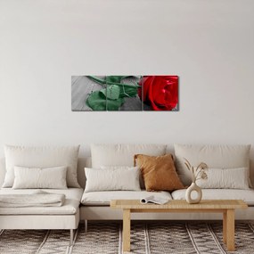 Tablou - Trandafir roșu cu tulpină verde (cu ceas) (90x30 cm)