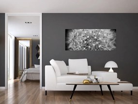 Tablou păpădie gri (120x50 cm)
