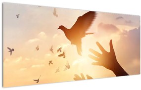 Tablou - Porumbițo, zboară! (120x50 cm)