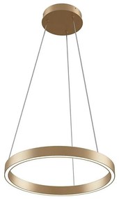 Lustră LED pe cablu Maytoni MOD058PL-L22BS3K RIM LED/25W/230V d. 40 cm auriu