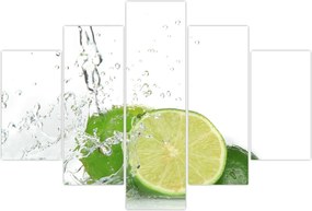 Tablou - Lămâi suculente (150x105 cm)