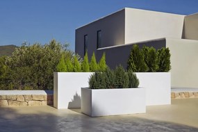 Jardiniera / Ghiveci plante design decorativ modern exterior / interior WALL 80x25x80cm