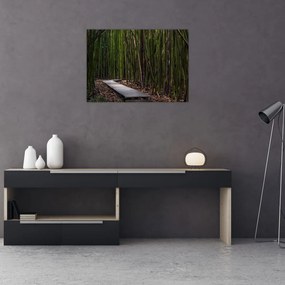 Tablou pe sticlă - Între bambus (70x50 cm)