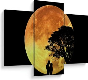 Tablou cu umbre în lumina lunii (90x60 cm)