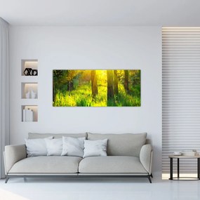 Tablou - Trezirea de primăvară a pădurii (120x50 cm)