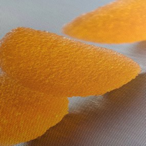 Tablou cu mandarine (cu ceas) (90x30 cm)