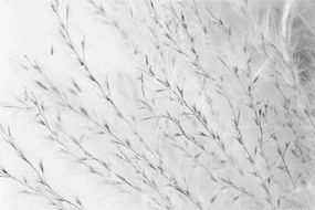 Tablou - Iarbă de pampas N⁰2 (90x60 cm)