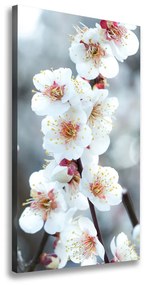 Imprimare tablou canvas Flori de cireș
