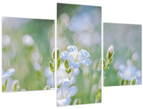 Tablou - Flori delicate (90x60 cm)