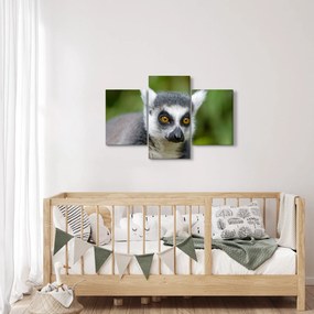 Tablou cu lemur (90x60 cm)