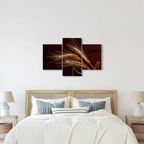 Tablou - Spic în prim plan (90x60 cm)