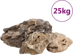 vidaXL Pietre dragon, 25 kg, gri, 10-40 cm