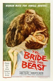 Ilustrație Bride And Beast