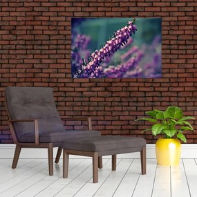Tablou cu floare violetă (90x60 cm)