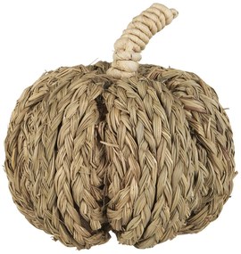 OFERTA Decoratiune dovleac PUMPKIN COACH GRASS II.calitate