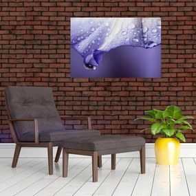 Tablou - Petală cu picături (90x60 cm)
