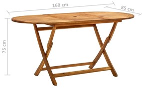 Masa de gradina pliabila, 160x85x75 cm, lemn masiv de acacia