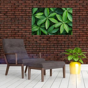 Tablou - Frunze cu picături de rouă (90x60 cm)