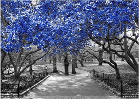 Tablou pe sticlă - Copaci albaștri Central Park, New York (70x50 cm)