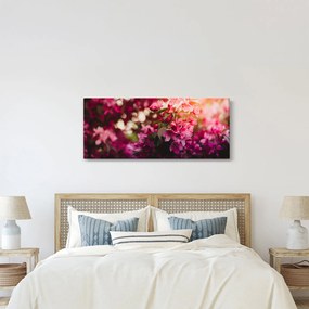 Tablou cu florile tufișului înflorit (120x50 cm)