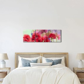 Tablou - Maci (cu ceas) (90x30 cm)