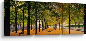 Tablou cu alee cu copaci în toamnă (cu ceas) (90x30 cm)