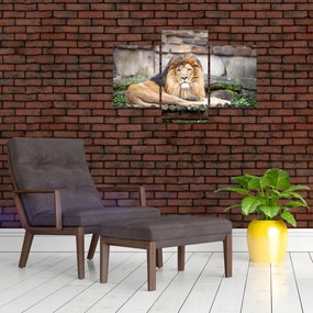 Tablou cu leu (90x60 cm)