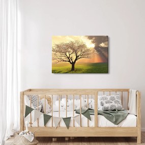 Tablou cu copac pe luncă (90x60 cm)