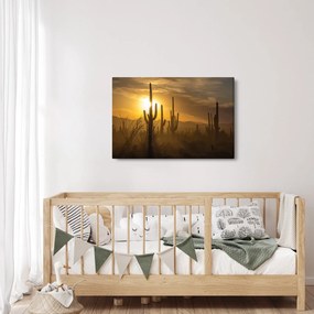 Tablou - Cactuși Saguaro (90x60 cm)