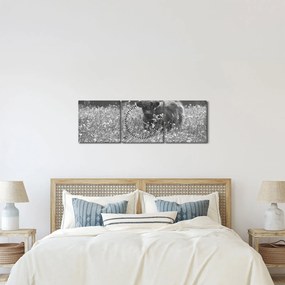 Tablou - Vacă scoțiană 5,alb-negru (cu ceas) (90x30 cm)