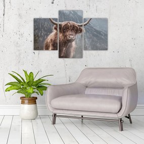 Tablou - Vaca Highlander (90x60 cm)