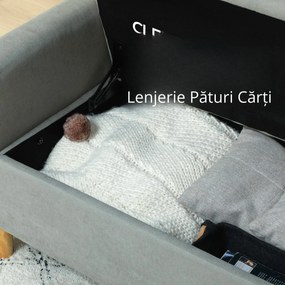 HOMCOM Canapea cu 2 Locuri, Brațe, Compartiment de Depozitare și 2 Perne, 140x72x82 cm, Gri | Aosom Romania