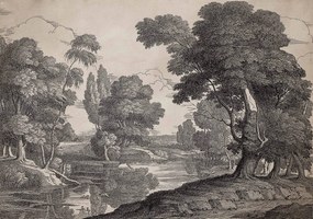 Tapet lavabil Engraving, Ink, Coordonne