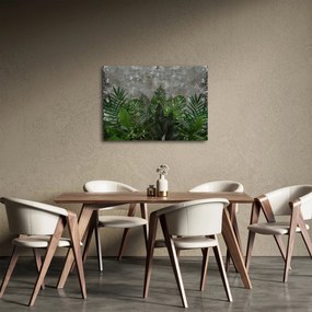 Tablou - Zid de beton cu plante (70x50 cm)