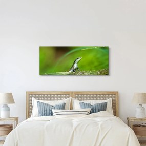 Tablou cu șopârlă (120x50 cm)