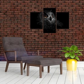 Tablou - Bufniță, ilustrație (90x60 cm)