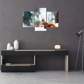 Tablou - Veveriță (90x60 cm)