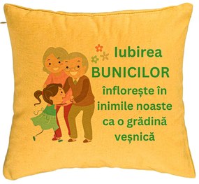Perna Decorativa pentru Bunici 6, 40x40 cm, Galben, Husa Detasabila, Burduf