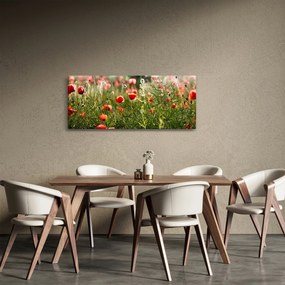 Tablou cu maci (120x50 cm)
