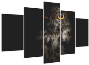 Tablou cu bufnița (150x105 cm)