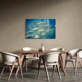 Tablou - Fluture pe margaretă (90x60 cm)
