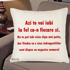 Cadou pentru Iubita - Perna Personalizata Azi Te Voi Iubi, 40x40 cm, Crem Reliefat, Husa Detasabila, Perna Inclusa, BEKZ®