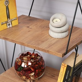 Biblioteca Balaban Pine