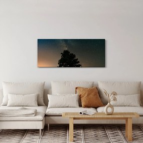 Tablou cu cerul nocturn și copaci (120x50 cm)